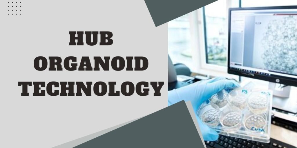 hub organoid technology_