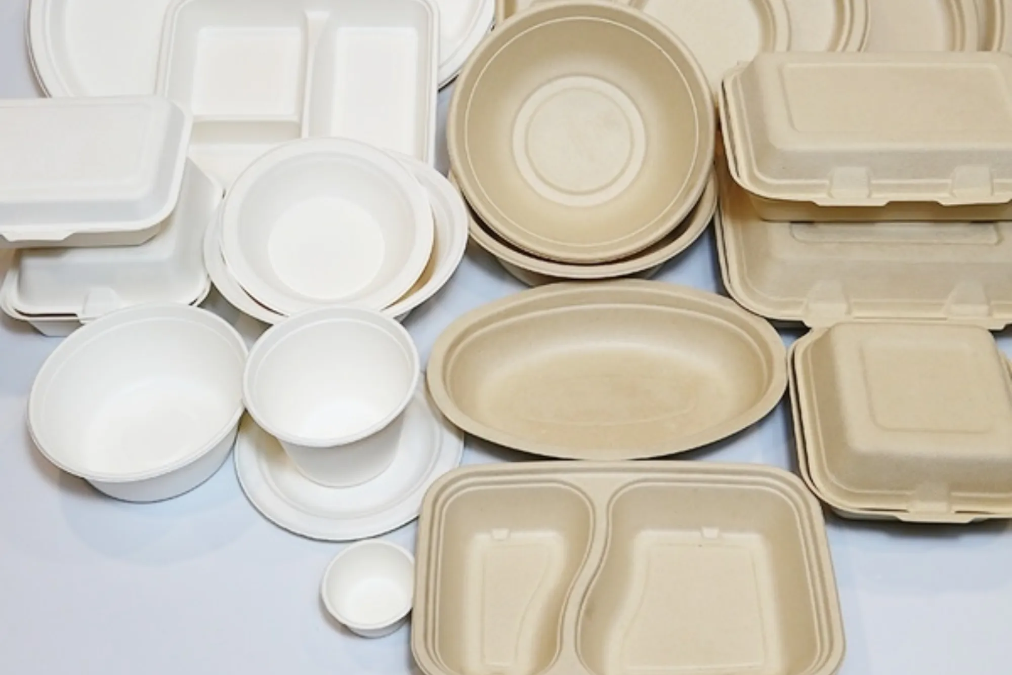 Bagasse Tray