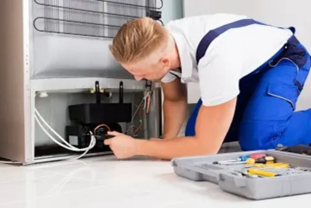 Comprehensive Guide to Fridge Repair and Maintenance Near You