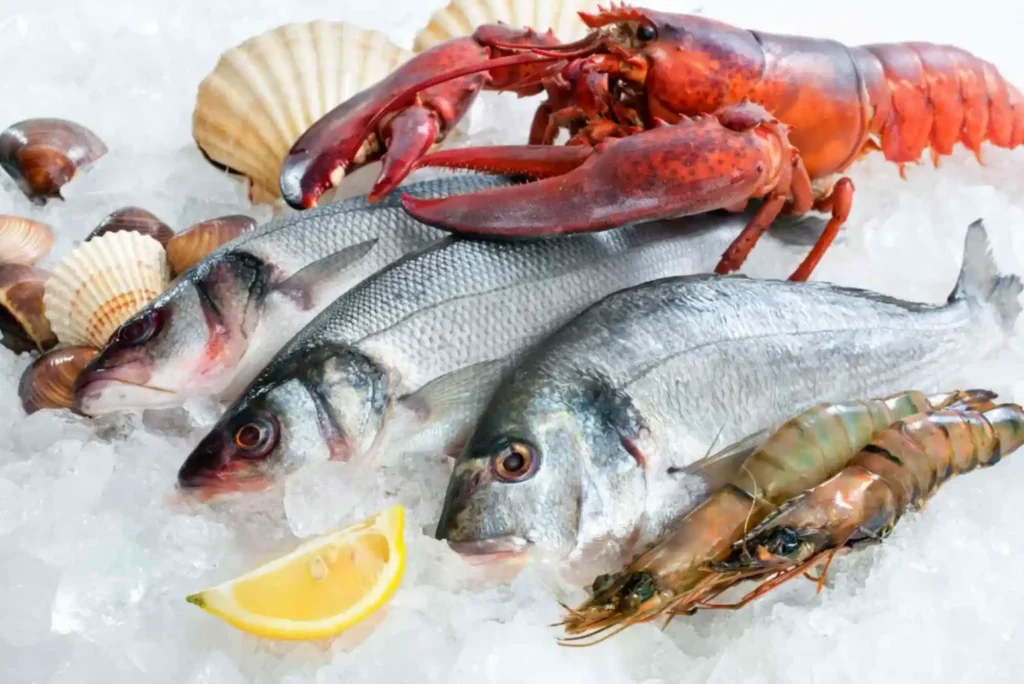 King Fish vs Hammour in Dubai – Which is Better