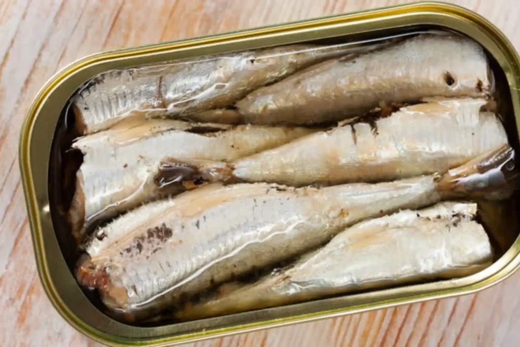 Side by Side Comparison of Top Sardine Fish Sellers in Dubai